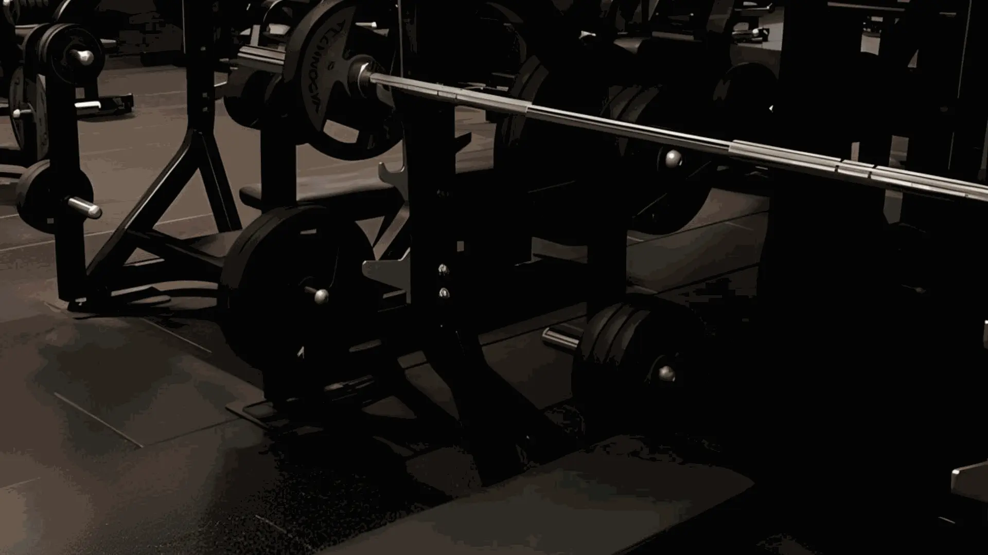 The Effect of Taurine on the Recovery from Eccentric Exercise-Induced Muscle Damage in Males